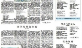 左江日报新闻爆料视频,揭秘新闻事件背后真相