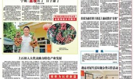 左江日报新闻爆料视频,揭秘新闻事件背后真相