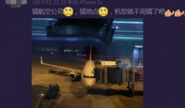 中国成都最新爆料,揭秘蓉城新动向与热门事件