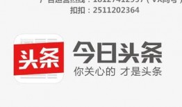上海今日爆料电话多少号,揭秘神秘电话号码背后的秘密