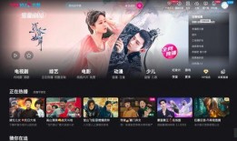优酷恋情爆料视频,揭秘明星甜蜜瞬间
