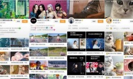 什么叫热聊爆料视频号呢,热门话题背后的秘密解析