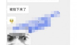 16本爆料视频在线观看,揭秘事件背后真相