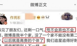 大瓜爆料比心视频大全,比心视频大全，揭秘网红幕后生活
