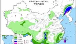 苏力在哪里爆料的新闻啊,揭秘新闻背后的真相