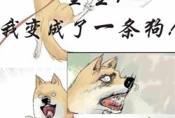 吃瓜走向小说免费阅读