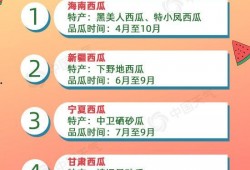 带你吃瓜课文免费阅读,揭秘课文背后的趣味故事