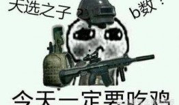 吃鸡新品爆料视频大全,精彩瞬间尽收眼底