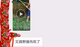 猪肉爆料视频播放大全最新,揭秘行业黑幕，带你走进真实猪肉世界