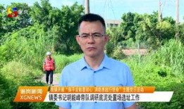 谢岗爆料新闻事件真相,真相大白背后的曲折历程