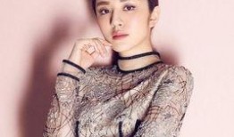 陈畅女友爆料视频大全集,揭秘背后惊人真相