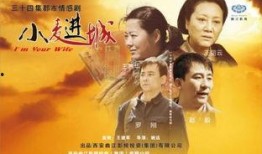 小麦进城在线观看,探寻农村青年城市梦的奋斗历程