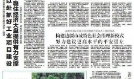 左江日报新闻爆料视频,揭秘新闻事件背后真相