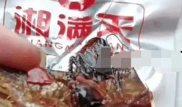 鱼尾零食爆料视频播放,揭秘网红零食背后的秘密