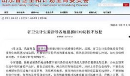 视频爆料注意事项,注意事项与风险防范指南
