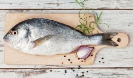 小鱼爱吃鱼爆料视频,网红美食博主爆料鱼食鱼趣事