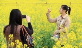 在线观看油菜花香