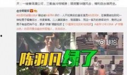 刘小庆卓伟爆料了吗视频,娱乐圈背后真相曝光