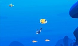 小鱼爱吃鱼爆料视频,网红美食博主爆料鱼食鱼趣事