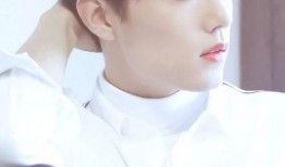 明星爆料肖战侯明昊视频,幕后故事引热议