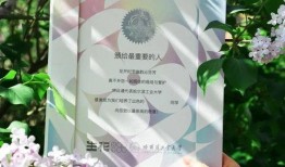 阿光爆料陈亮视频播放,揭秘背后惊人内幕