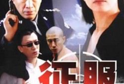 征服在线观看全集,在线观看全集，揭秘传奇英雄的传奇征程