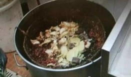 红油咸菜爆料视频大全图片,一场视觉与味蕾的盛宴