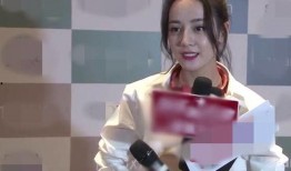 热巴小鹿爆料视频播放下载,独家揭秘幕后故事