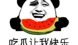 免费分享全网吃瓜,免费分享，畅享娱乐资讯大餐