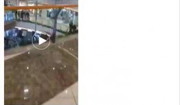 网友爆料坠楼视频真实,惊心动魄的坠楼瞬间，真相令人唏嘘不已