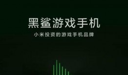 雷军爆料新手机最新消息,全新旗舰手机即将亮相，颠覆性技术引领行业潮流！”