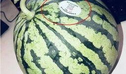 网红爆料吃瓜头像,揭秘吃瓜头像背后的秘密