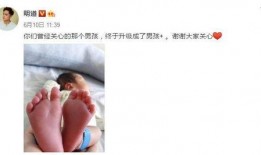 明道爆料家庭视频,甜蜜互动引网友热议