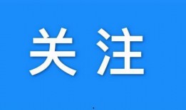 新皮肤最新爆料预测退网,退网潮流下的华丽转身
