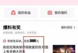 美国爆料头条视频,揭秘不为人知的真相