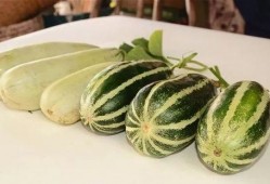 吃瓜的网红叫啥来,揭秘吃瓜网红的爆红之路