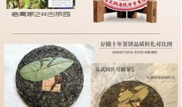 普洱最新爆料