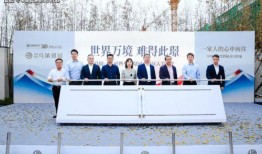 中转盘最新爆料的升级枪,揭秘全新枪械的神秘面纱