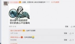 爆料太打脸了视频下载,真相令人震惊