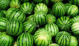 郴州网红吃瓜事件真相,真相背后的网络狂欢与反思