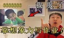 宝藏男孩爆料视频,视频爆料背后的惊人真相