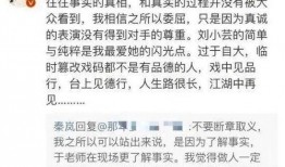 娱乐文字爆料怎么写,最新爆料背后的故事与真相
