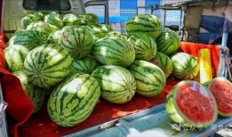 郴州网红吃瓜事件真相,真相背后的网络狂欢与反思