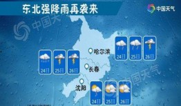 苏力在哪里爆料的新闻啊,揭秘新闻背后的真相